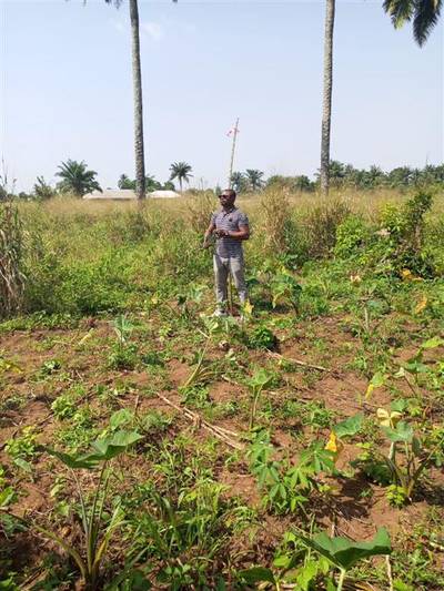 Farm land for sale