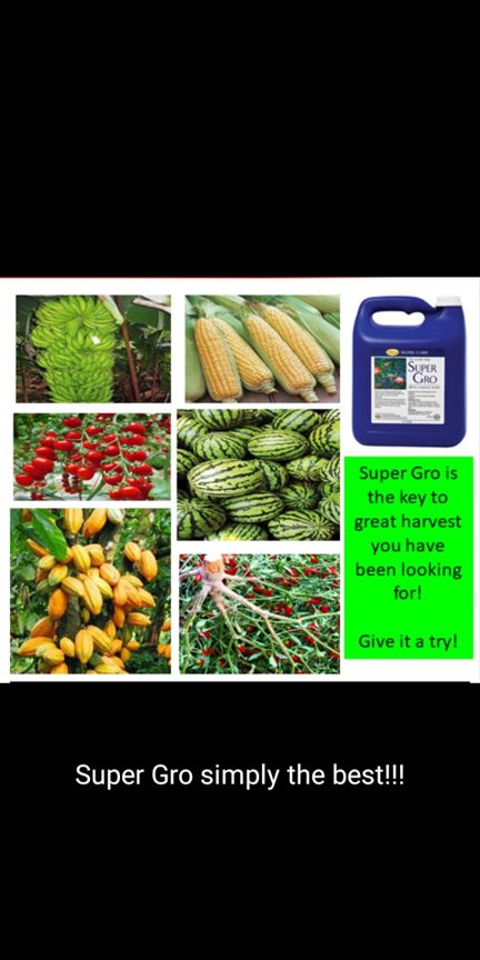Super gro natural fertilizer