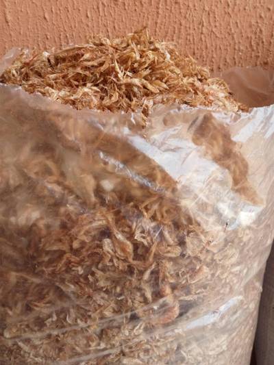 Cràyfish and stockfish