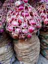 Onions