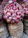 Onions