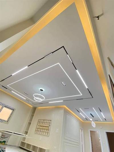 Professional painter