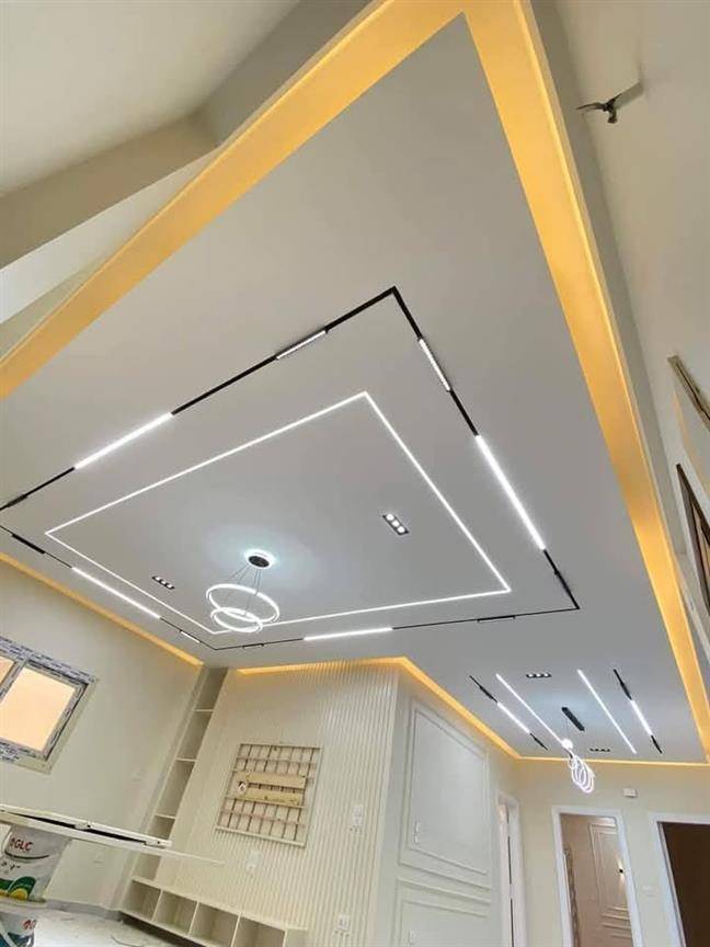 Professional painter