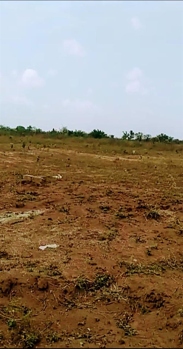 50 ACRES OF LAND @ IBEJU- LEKKI
