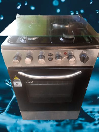 Electric and gas oven