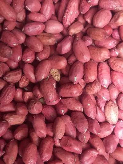 Agricultural Products Trader