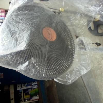 Standing fan