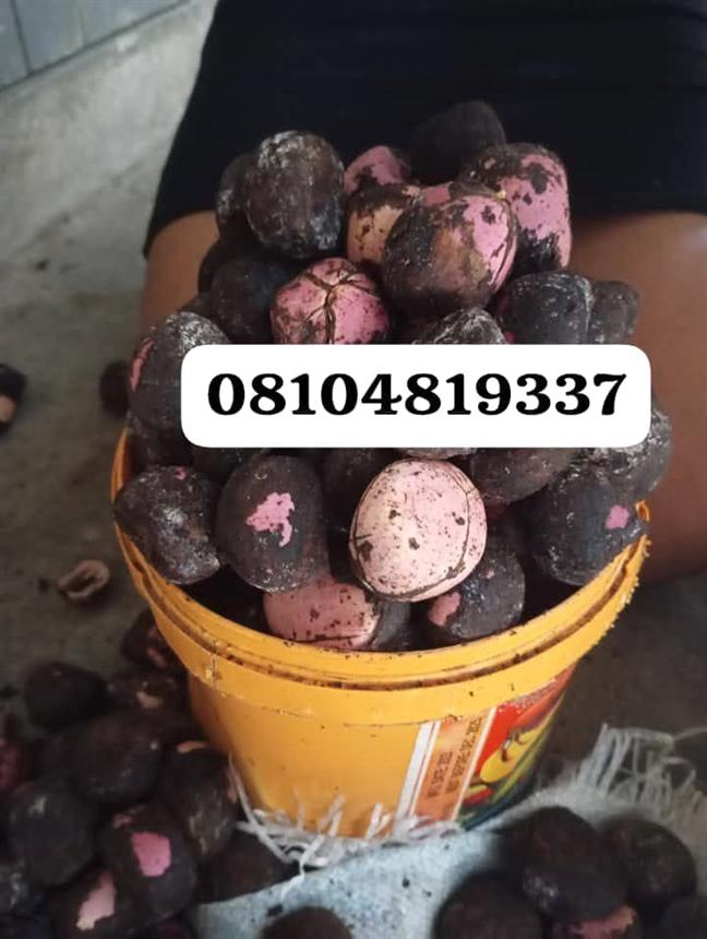 Agro products