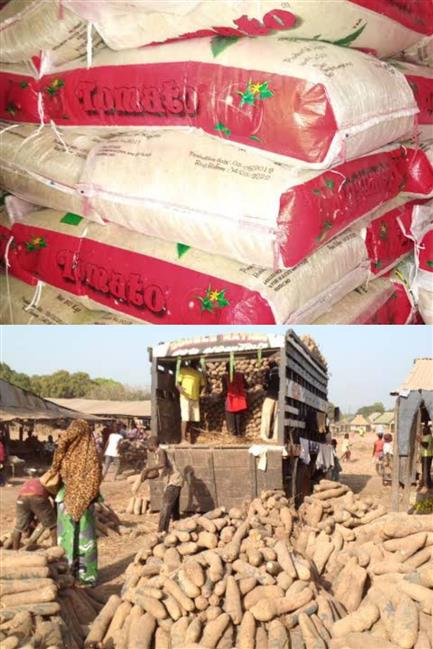 Processed rice