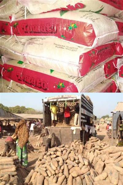 Processed rice