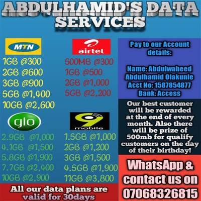 Abdulhamid's Data Services