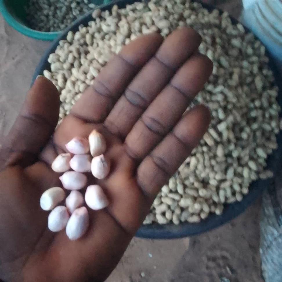 Agricultural Products Trader