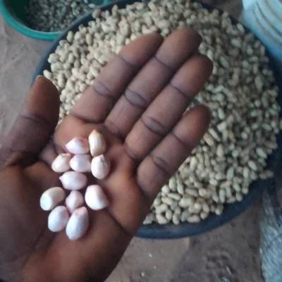 Agricultural Products Trader