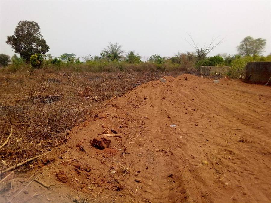 Ambience Of Peace Estate