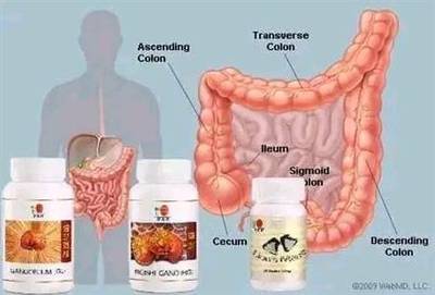 Live a healthy life with GL, RG & Spirul