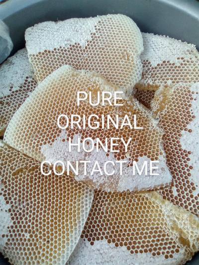 Pure HONEY