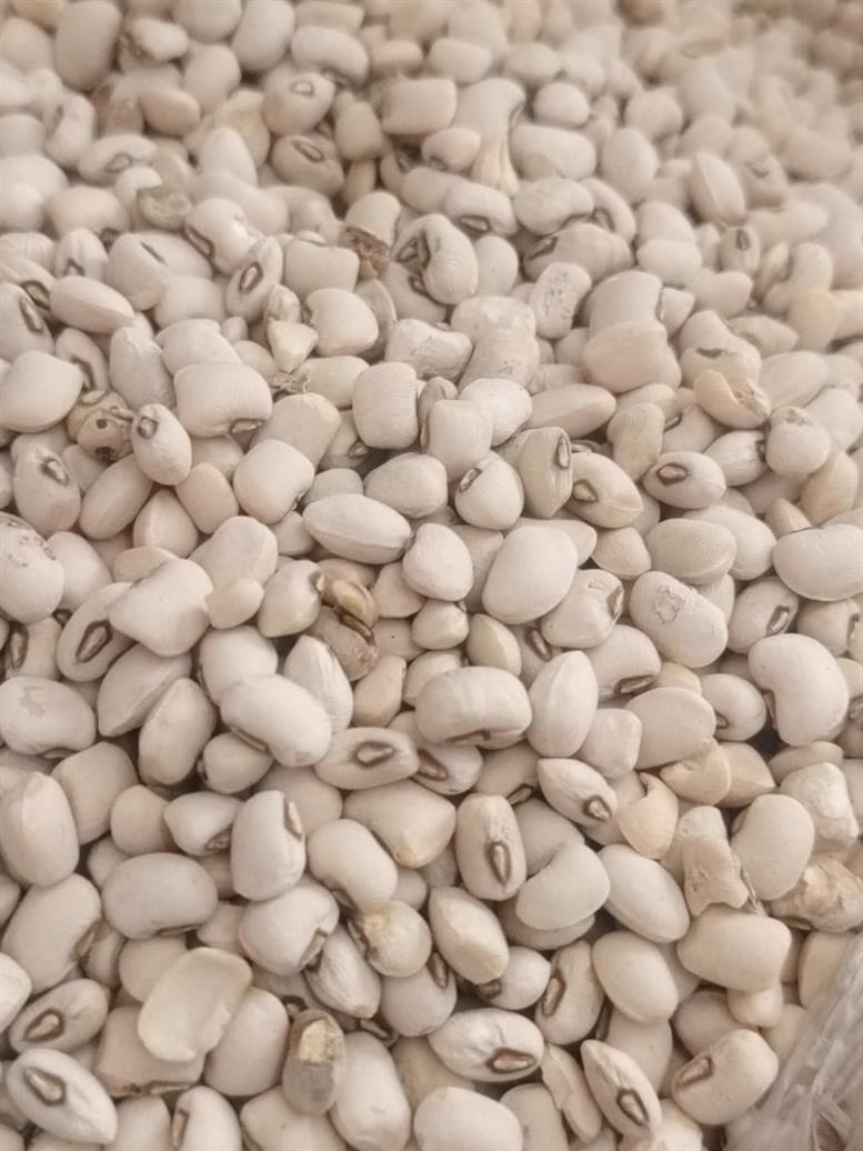Teemar clean beans