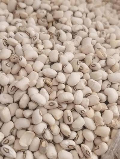 Teemar clean beans