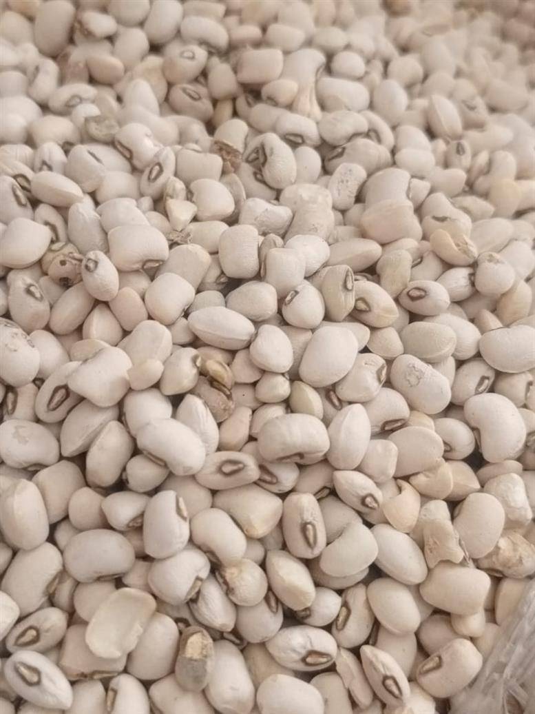 Teemar clean beans