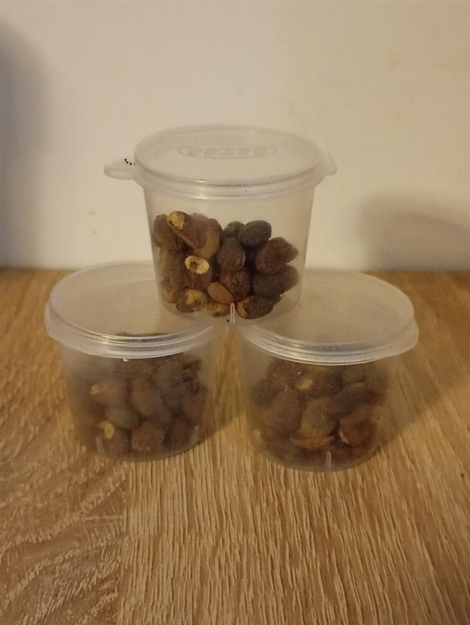 Miracle Seed – Natural Wellness Support