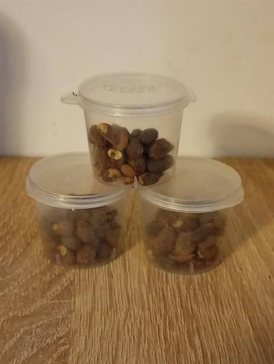 Miracle Seed – Natural Wellness Support