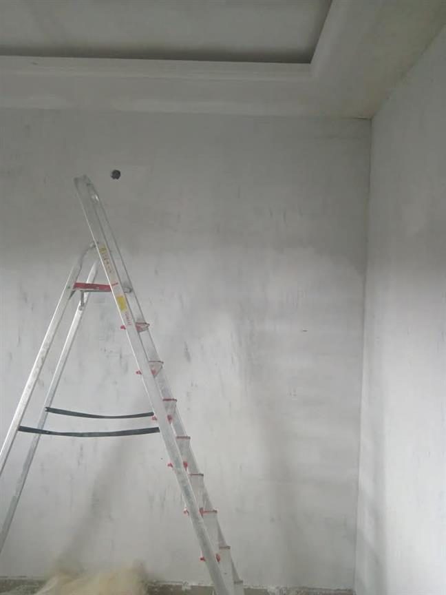 Wall Screeding