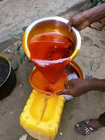 Fresh Palm oil