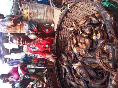 Your No1 vendor for your oron crayfish
