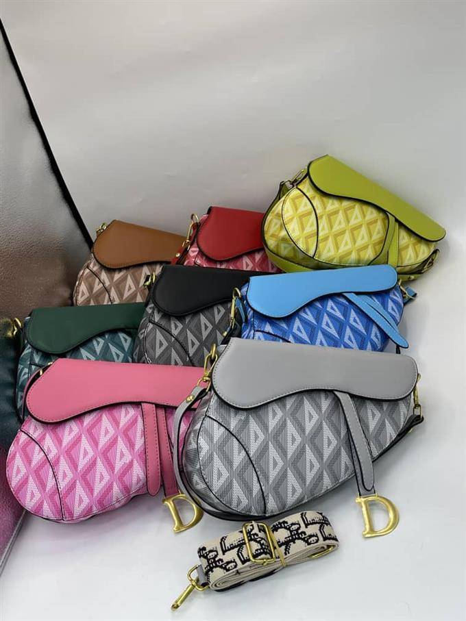 Dior saddle bag