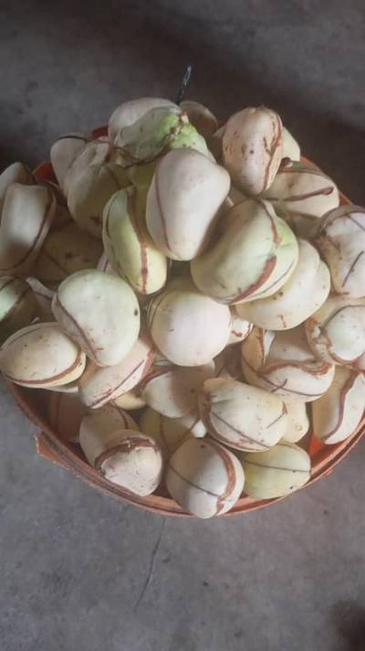 Agro products