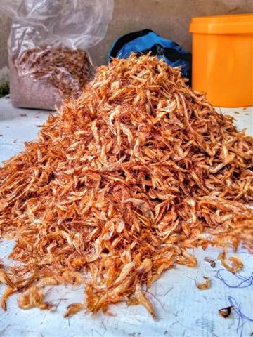 Oron Crayfish