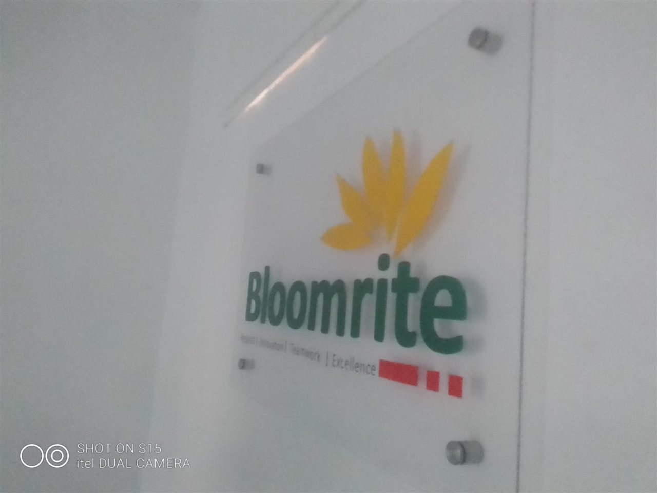Flat wall signage