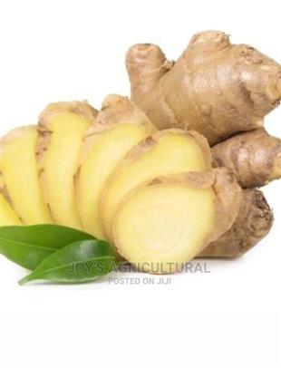 Ginger