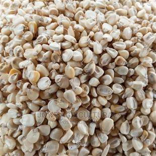 White Corn(100kg)