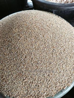 Millet(100kg)