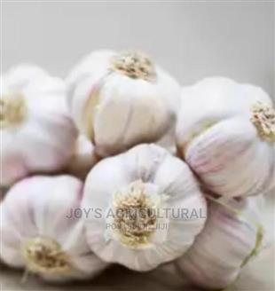 Garlic 🧄