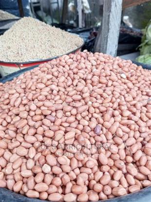 Fresh Groundnut (250kg)