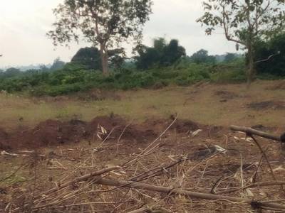 Land for sale, with Deed of conveyance