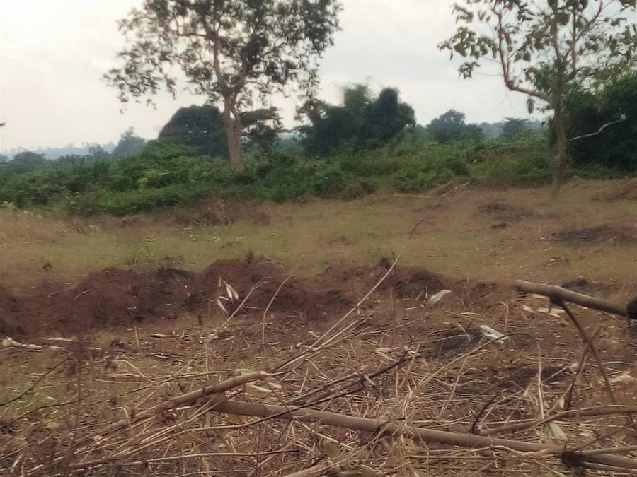 Land for sale, with Deed of conveyance