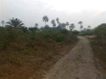 Land for sale