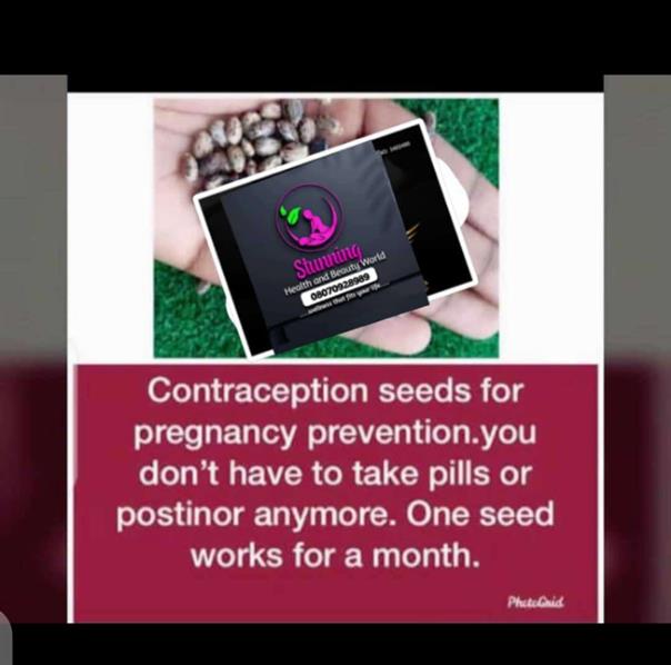 Natural Contraceptive Seeds Seeds