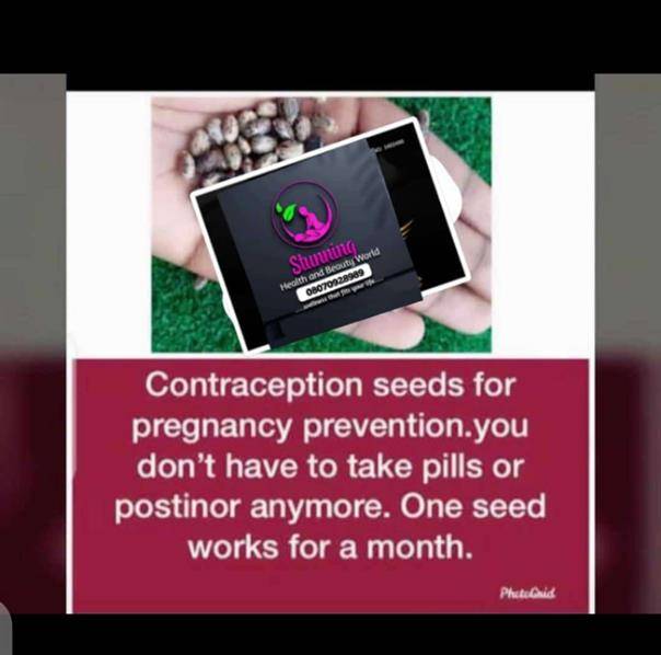Natural Contraceptive Seeds Seeds