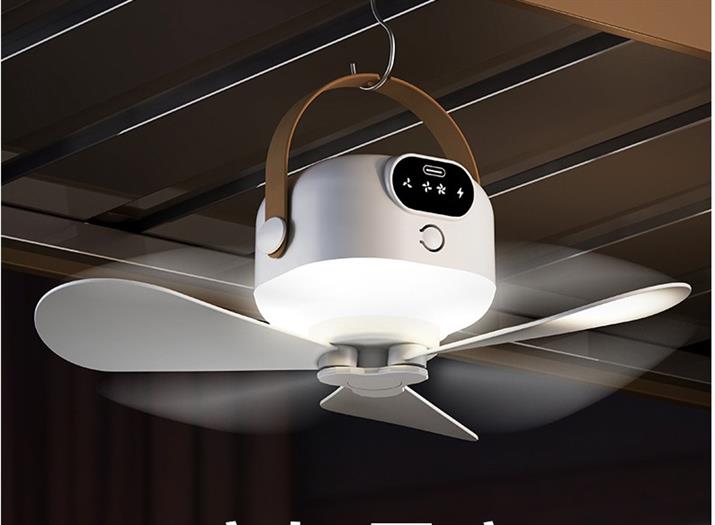 Mini ceiling fan