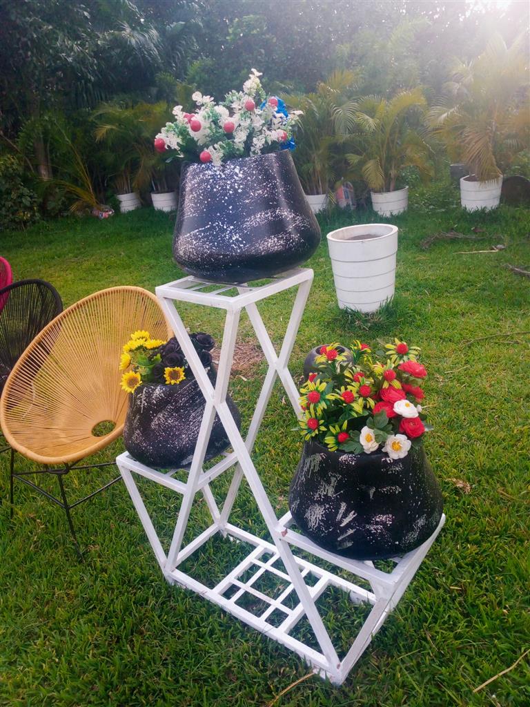 Joseph flowers/garden ideas