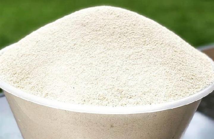 Garri Ijebu