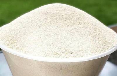 Garri Ijebu