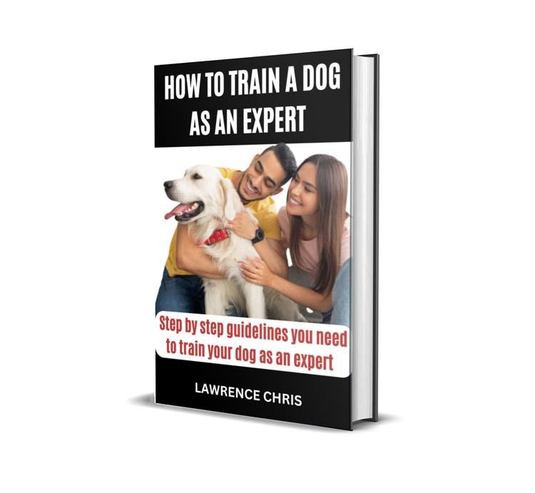 How To Train Your Dog As An Expert