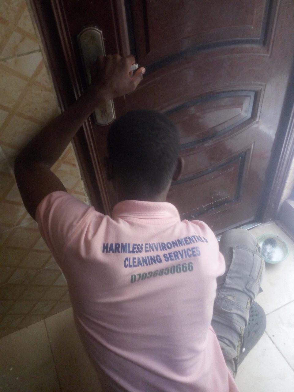 Professional cleaning service