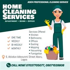 Cleaning and Fumigation Services