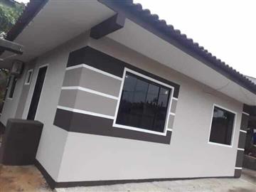 Painting and branding